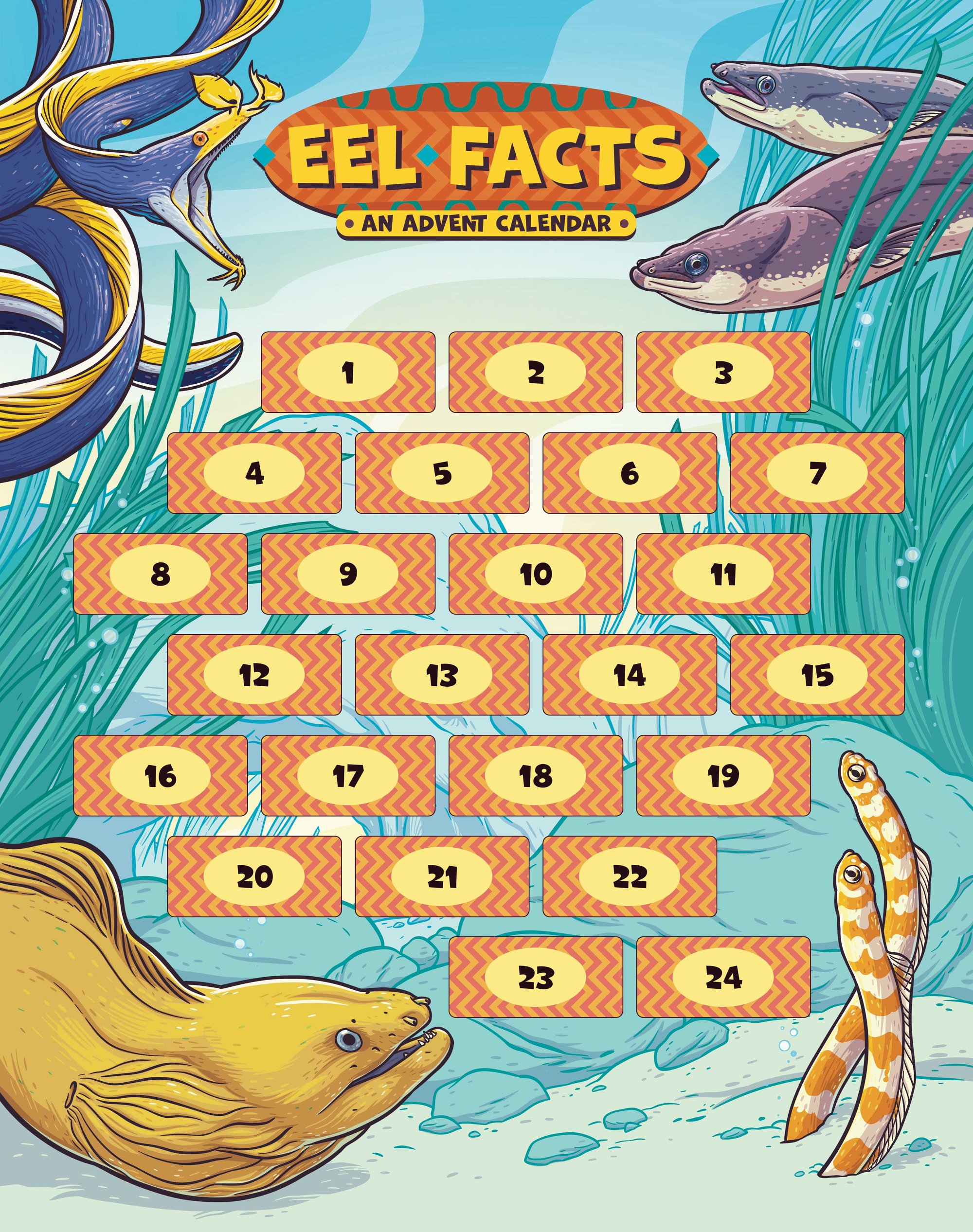 Eel Facts Advent Calendar Support Skype A Scientist With The Squid eel-facts-advent-calendar-support-skype-a-scientist-with-the-squid