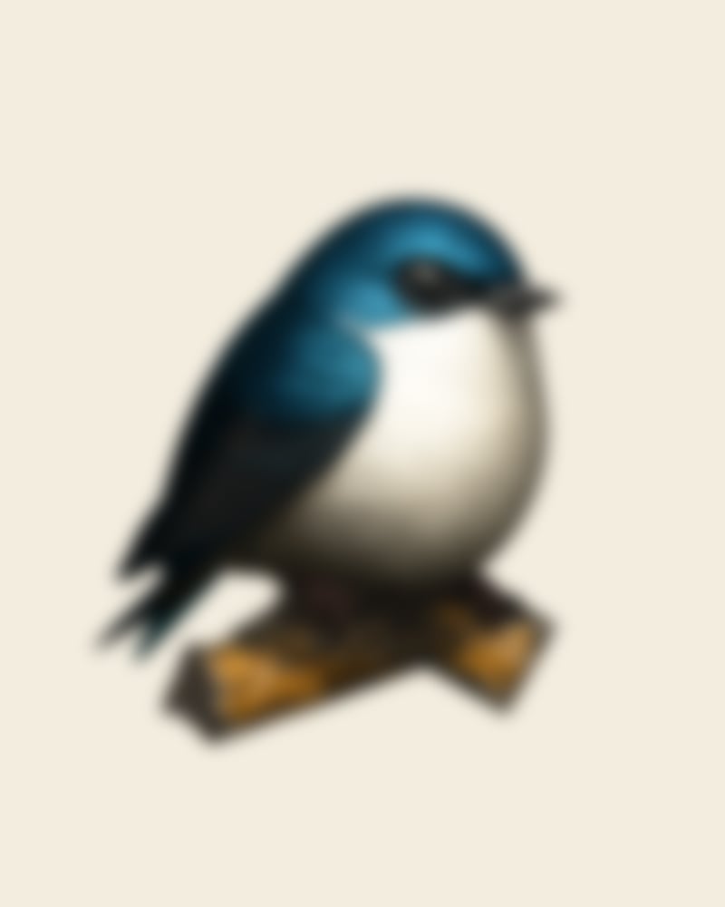 Image of Tree Swallow