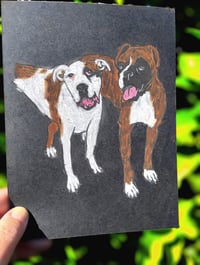 Image 12 of Custom Soft Pastel Boxer Portrait