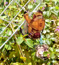 Image 4 of Herlock Sholmes Carabiner
