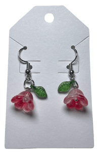 evelyn earrings ꫂ❁