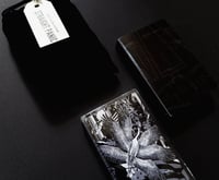 STRAIGHT PANIC - Siege Murmuration