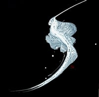 MOVIMENTO_ X silenzio  (silence) 