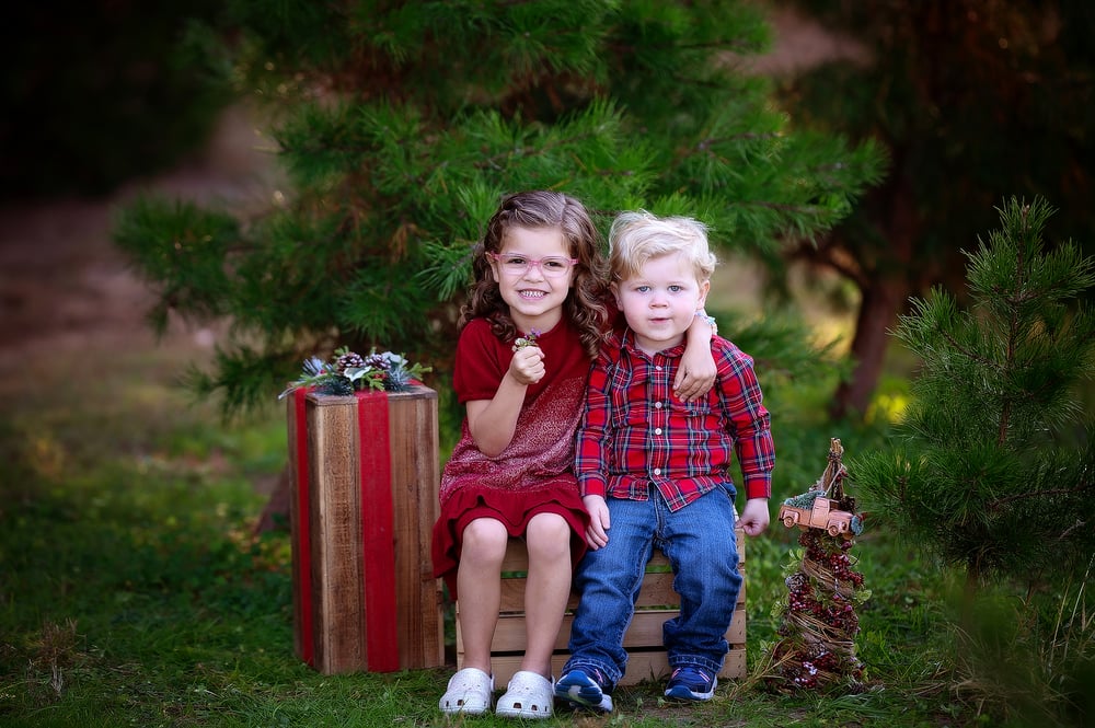 Image of NOVEMBER 16th:  Christmas Tree Farm Mini Sessions *** $50 DEPOSIT***