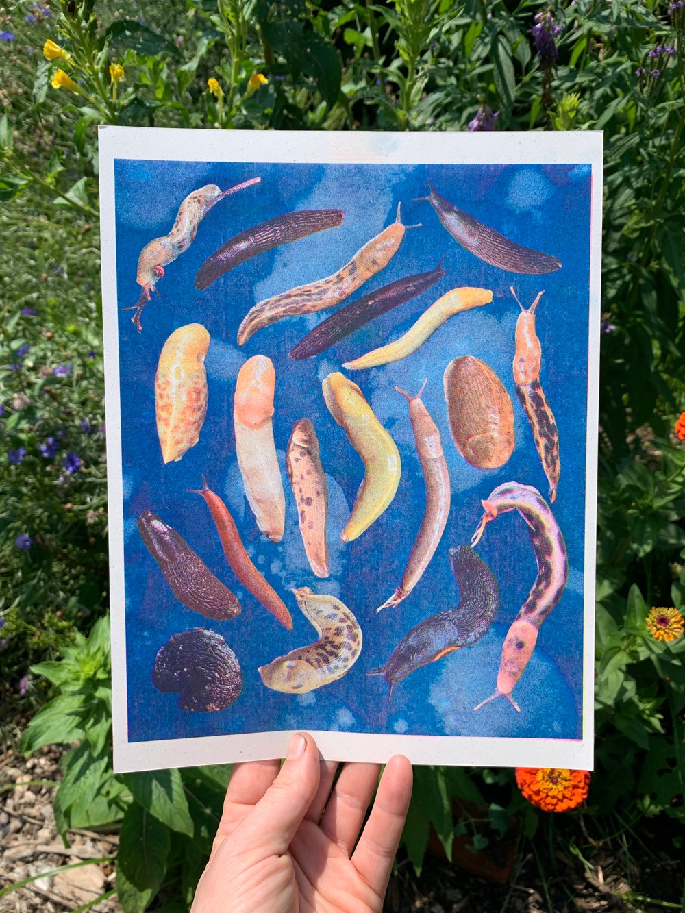Slugs