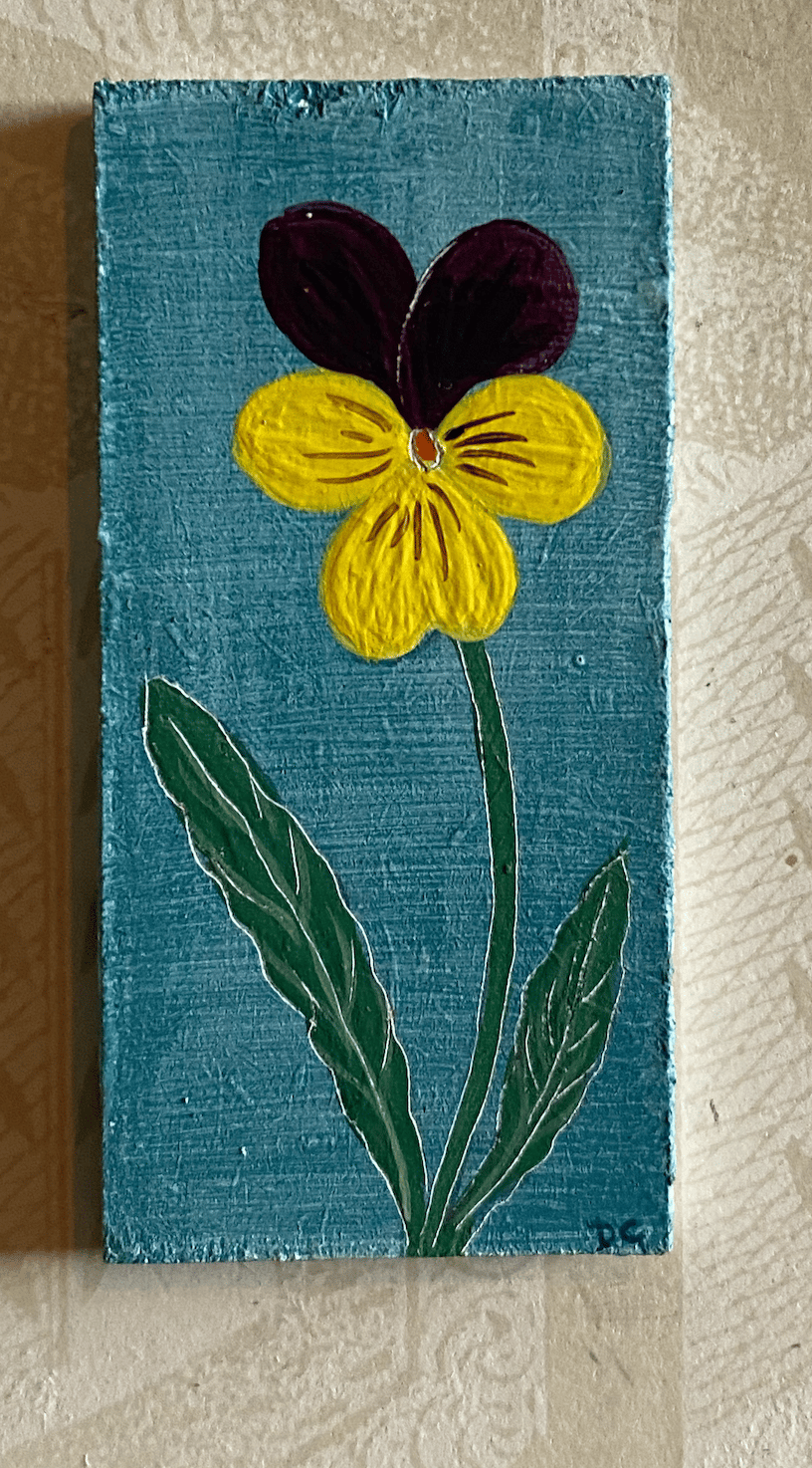 Image of Tiny Viola (F)