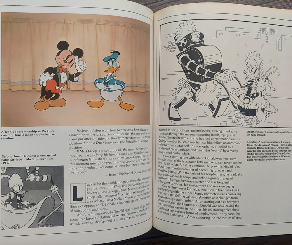 Donald Duck, by Marcia Blitz