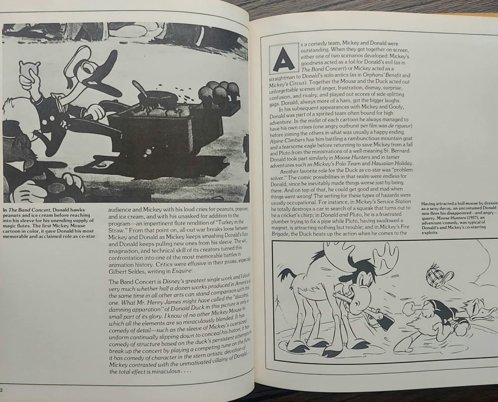 Donald Duck, by Marcia Blitz
