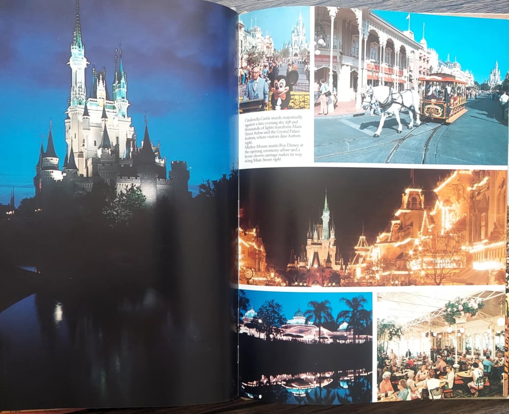 Walt Disney World, by Valerie Childs