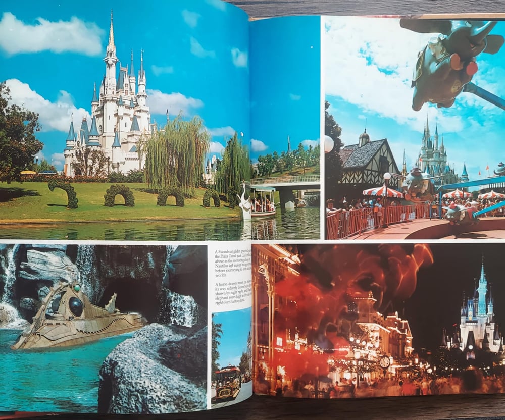Walt Disney World, by Valerie Childs