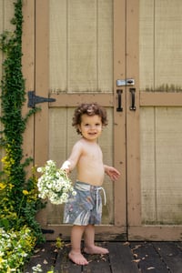 Image 1 of Ralph Lauren nautical swim shorts