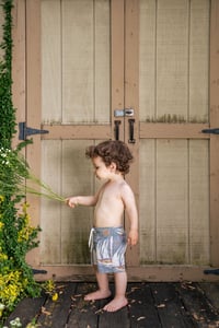 Image 3 of Ralph Lauren nautical swim shorts