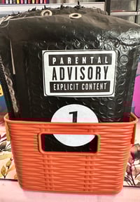 Image 6 of SKIP IT OR SHIP IT!!!