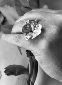 Image 2 of Moonflower 