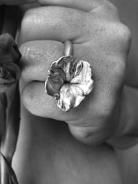 Image 3 of Moonflower 