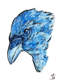 Chroma Crow (sky colour)