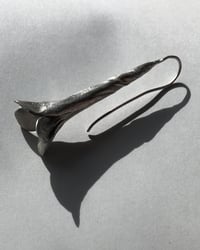 Image 4 of Honeysuckle Trumpet 