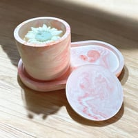 Image 5 of Eva's Light Surprise Small  Box