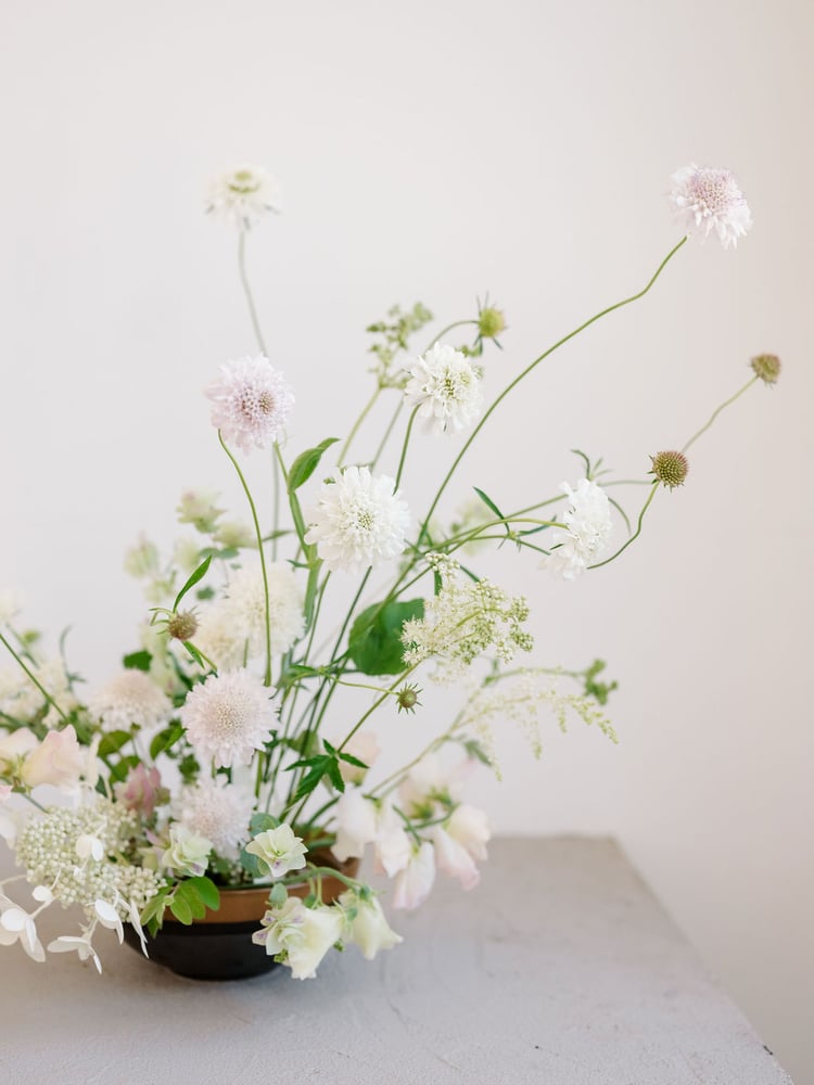 Image of Movement Study /// Flower Field Day