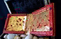 Image 6 of Red Dia de Los Muertos Skulls Makeup Shrine Rhinestones and Foiled Artisinal Paper Calaveras Hand...