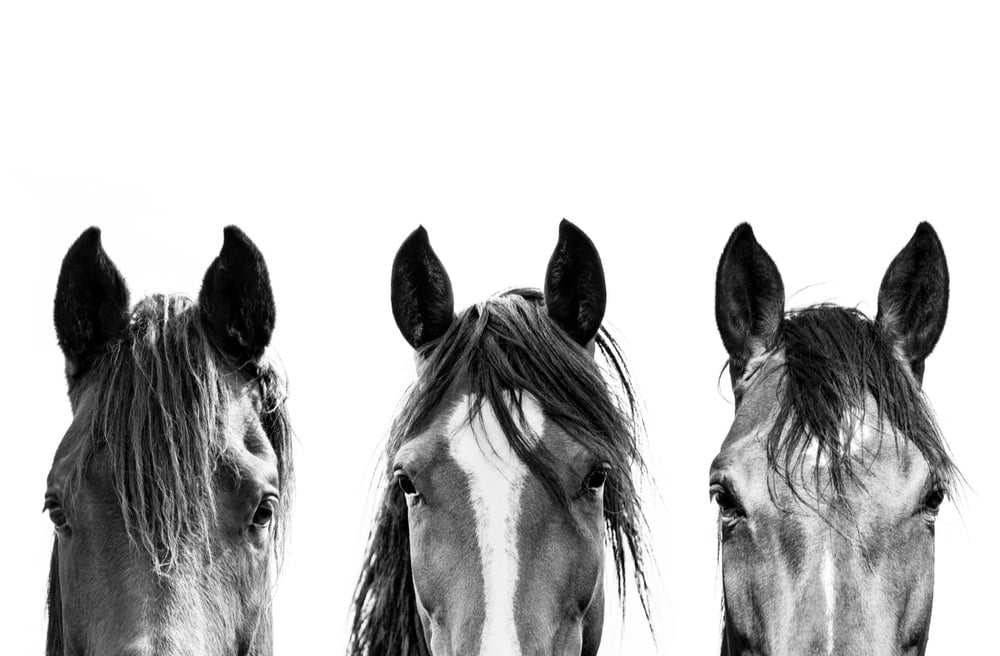 Image of One Two Three