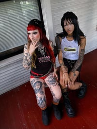 Image 4 of The Skank Tanks