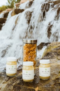 Sea Moss Gel - The OG