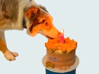 Image 3 of PupCakes