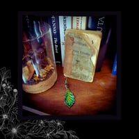 Image 2 of ☽ Quercus Viridium ☾