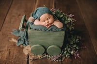 Image 11 of Baby Wagon in differen designs