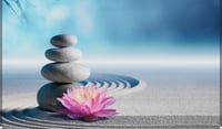 PLATINUM - WELLNESS TRANSFORMATION PACKAGE