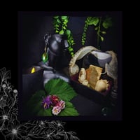 Image 2 of ☽ Salix Rigel ☾