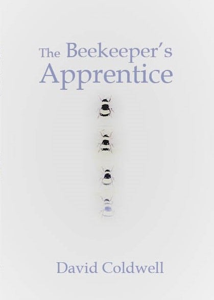 The Beekeeper's Apprentice by David Coldwell