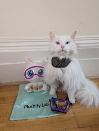 Image 1 of Sigrid plushie [limited edition]