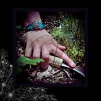 Image 6 of ☽ Labradora Femis Pavonis ☾