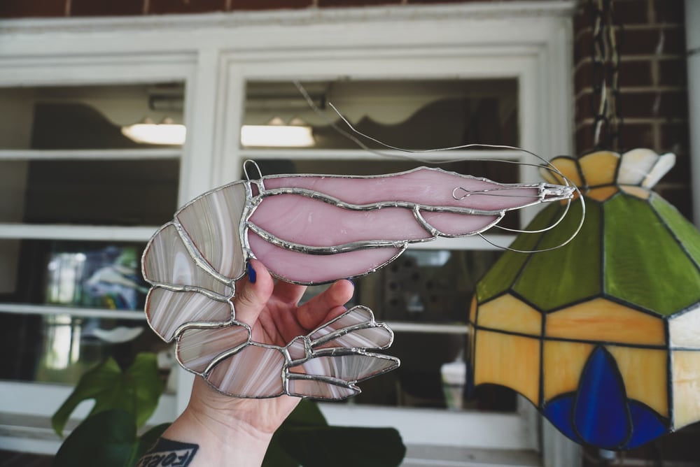 Image of Shrimp 002
