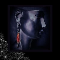 Image 5 of 🜧 Quercus BlackFyre 🜧