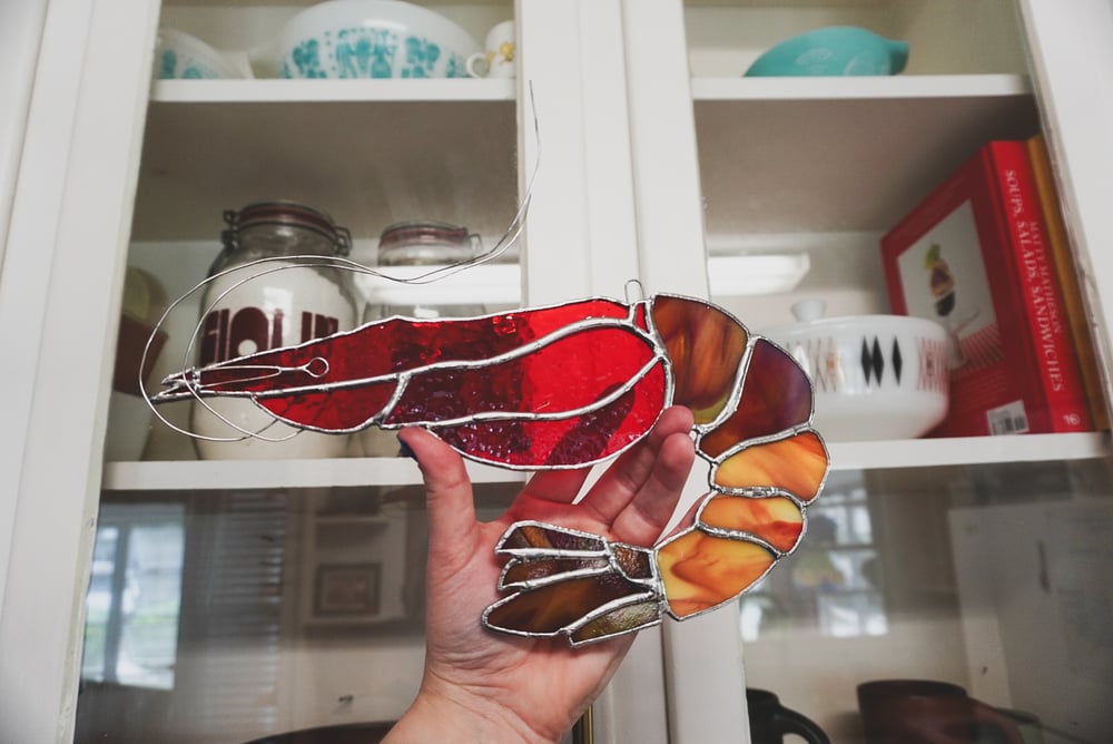 Image of Shrimp 006