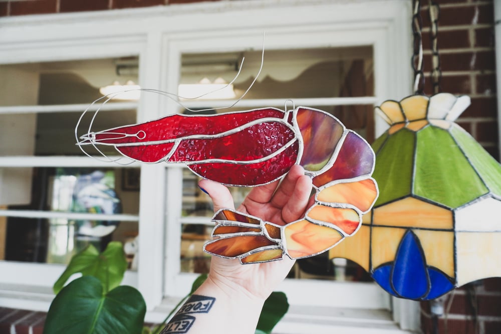 Image of Shrimp 006