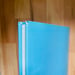 Image of (Patrick Magaud) (Exhibition in Paris) (Hardcover)