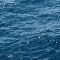 Image 2 of IL MARE LUCCICA, girocollo 