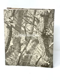 Image 2 of "What the Rain Might Bring" by Dylan Hausthor