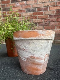 Image 4 of Weathered Teracotta Pot