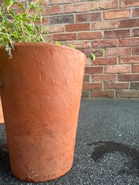 Image 2 of Tall Skinny Vintage Terracotta Pot 