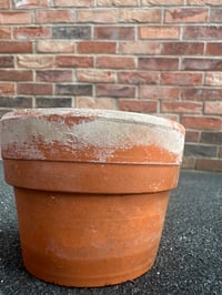 Image 2 of Small Terracotta Pot