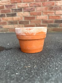Image 1 of Small Terracotta Pot