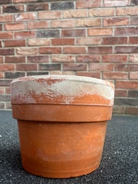 Image 3 of Small Terracotta Pot