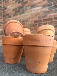 Image 2 of Terracotta Pots 