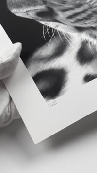 Image 2 of “Sovereign Stillness” gicleè print 