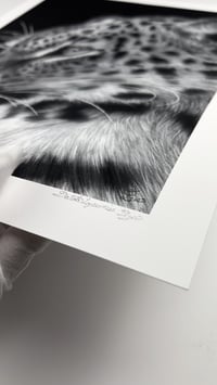 Image 3 of “Sovereign Stillness” gicleè print 